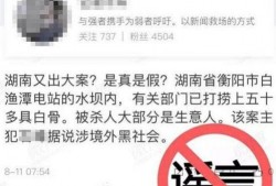 衡阳记者爆料案件最新消息,案件进展及关键证据曝光