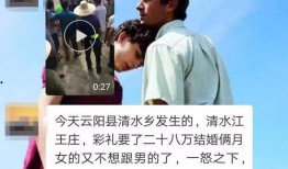 王庄最新爆料事件视频播放,事件视频引发热议，真相究竟如何？
