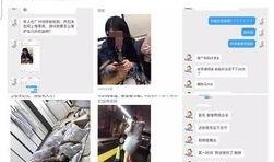 营销号最新爆料视频下载,视频内容深度解析